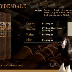 Stallone Clydesdale