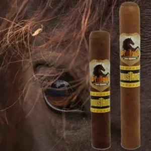 Stallone Mustangs
