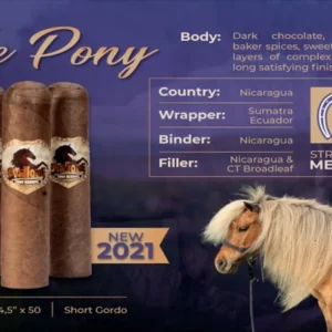 Stallone The Pony