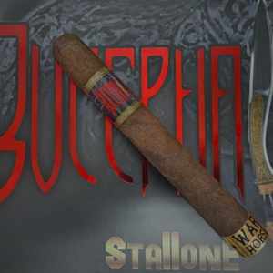 Stallone Bucephalus